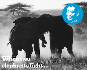 Issue 02 When two elephants fight…