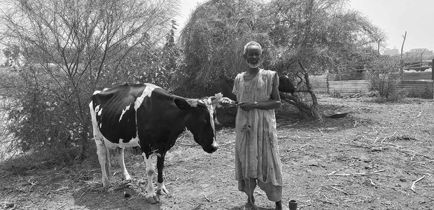 Tuti Island farming: Survival of the wealthiest