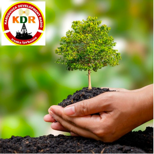 KDR FM-Uganda – Environment and Afforestation