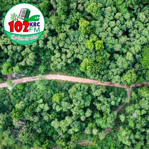 KRC RADIO – Uganda- Forestry For The Future