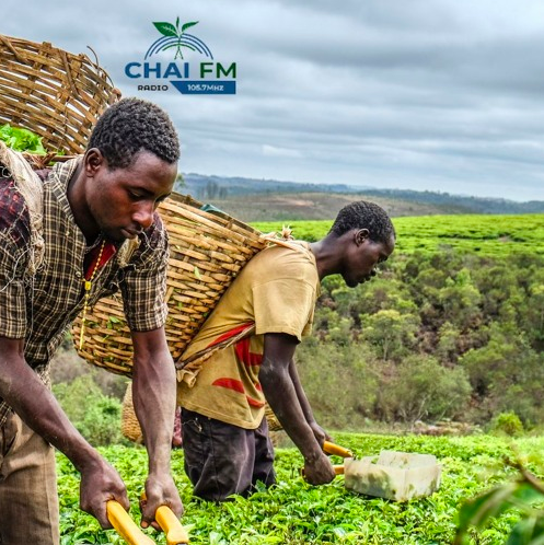 CHAI FM- CLIMATE CHANGE IMPACT ON AGRICULTURE