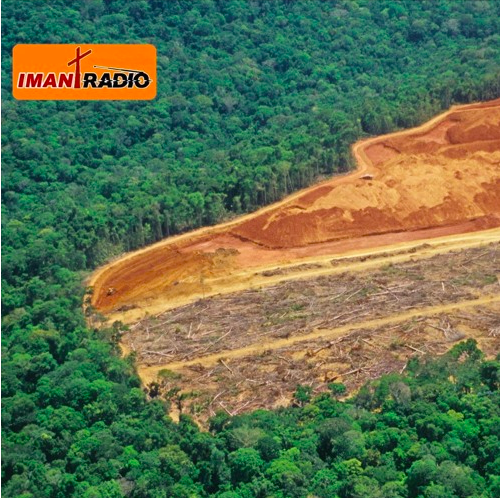 DEFORESTATION – IMANI RADIO -KENYA