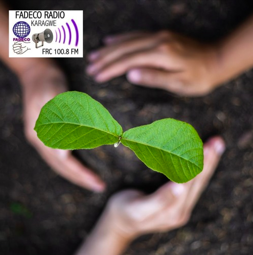 FADECO FM- TANZANIA – PLANTING TREES TO PROTECT NATURAL VEGETATION