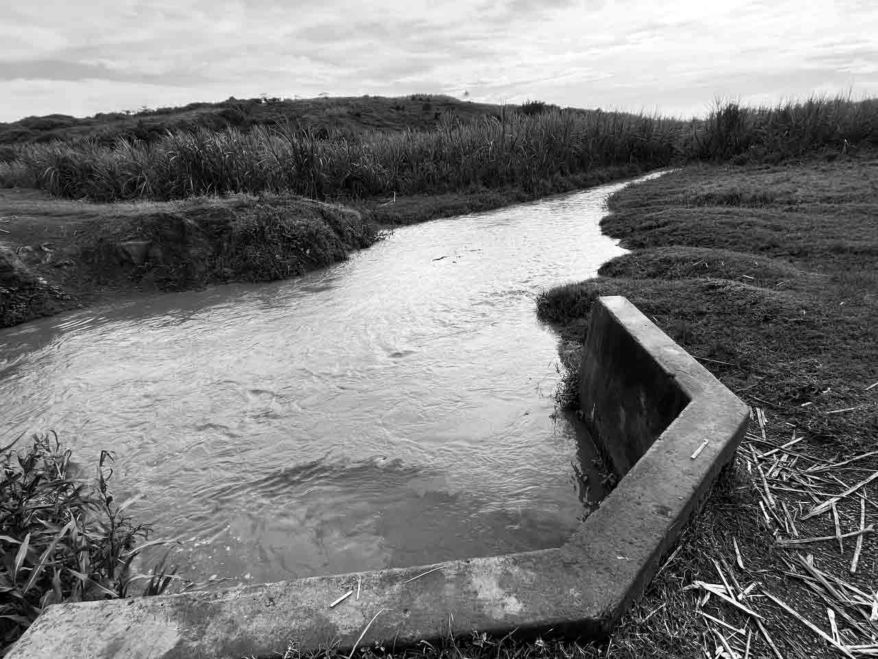 Toxic water, unequal impact: The gendered toll of industrial pollution